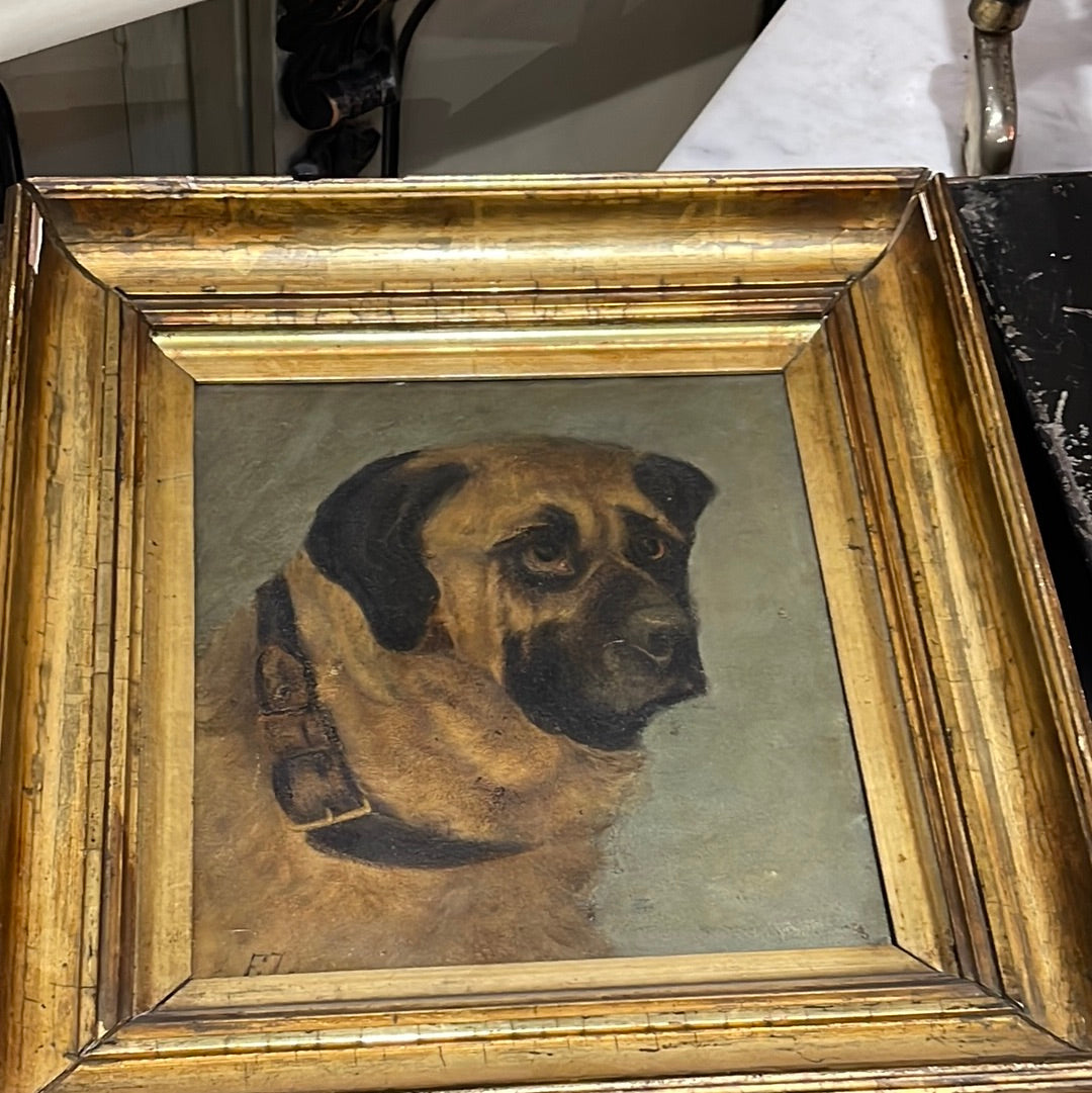 English Oil on Canvas - Dog