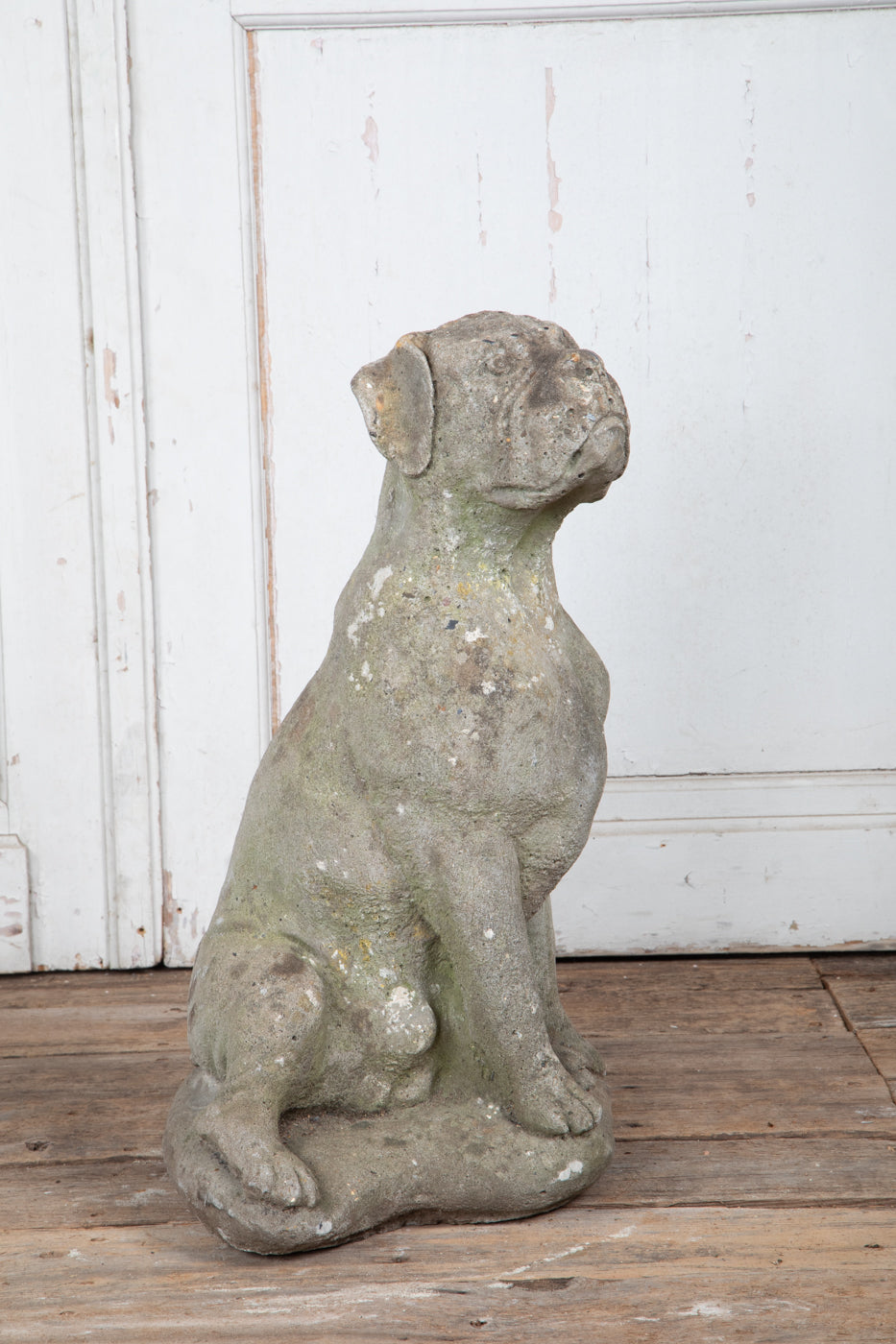 Concrete Boxer Large Hound Sculpture