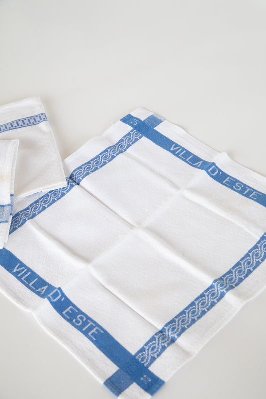 Blue and White Napkin 1920