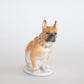 Hand Painted Porcelain French Bulldog