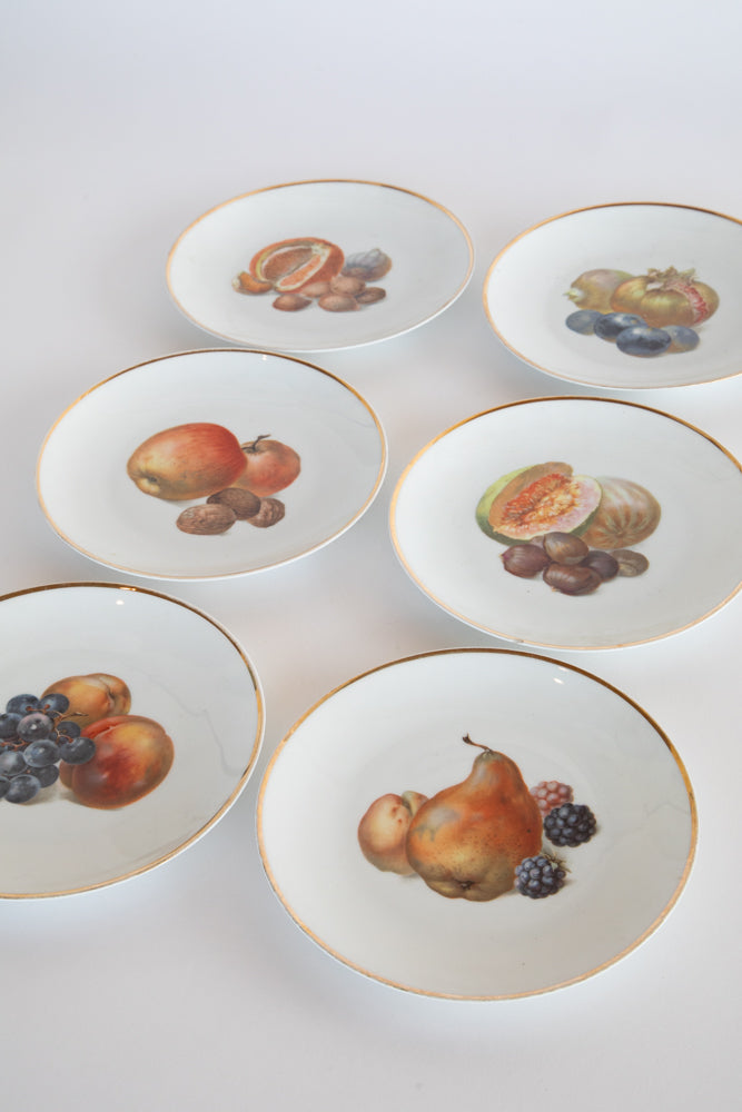 Set of 6 Bavarian Fruit Plates c.1870