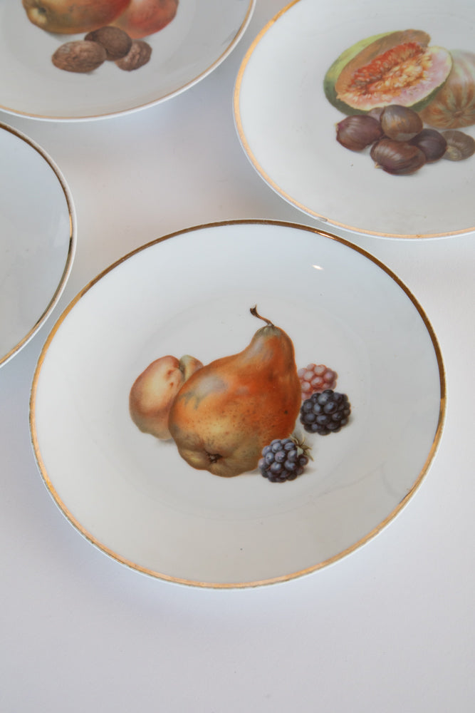 Set of 6 Bavarian Fruit Plates c.1870