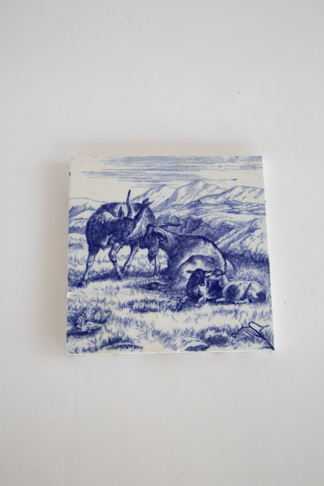 Blue and White Delft Tiles